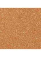 FRISSER LATEN STRALEN – EGALISEREN – DE TEINT PERFECTIONEREN - MEDIUM CORAL
