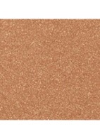 FRISSER LATEN STRALEN – EGALISEREN – DE TEINT PERFECTIONEREN - INTENSE AMBER