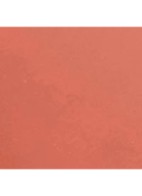 KLEUR, GLANS, INTENSITEIT IN EEN FLASH - 288 FADED ORANGE