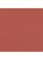 LANGHOUDEND LIPPENPOTLOOD  - 162 NUDE BRUN 