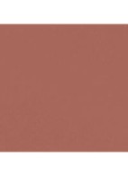 LANGHOUDEND LIPPENPOTLOOD  - 212 BEIGE ROSE