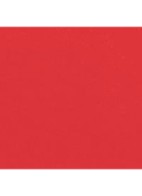 LANGHOUDEND LIPPENPOTLOOD  - 174 ROUGE TENDRE