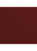 LANGHOUDEND LIPPENPOTLOOD  - 192 PRUNE NOIRE