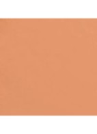 LANGHOUDEND – UITERST COMFORTABEL – KLEURCORRECTOR MET PERFECTE FINISH - ABRICOT