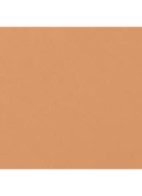 LANGHOUDEND - UITERST COMFORTABEL - PERFECTE FINISH - BD61 