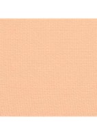 LANGHOUDENDE UITERST COMFORTABELE COMPACTE FOUNDATION MET PERFECTE FINISH - B40