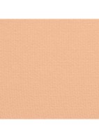 LANGHOUDENDE UITERST COMFORTABELE COMPACTE FOUNDATION MET PERFECTE FINISH - B60