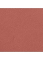 LIMITED EDITION – DE STRALENDE FLUWEELACHTIGE LIPPENSTIFT  - 479 CRUSH