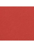 LIMITED EDITION – DE STRALENDE FLUWEELACHTIGE LIPPENSTIFT  - 487 SEE YOU AT 5