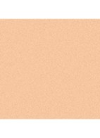 LOSSE POEDER MET EEN NATUURLIJKE FINISH - 40 MEDIUM PLUS
