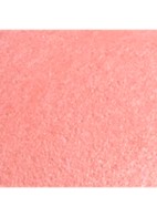 POEDERBLUSH - 72 ROSE INITIAL