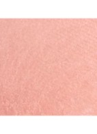 POEDERBLUSH - 99 ROSE PÉTALE