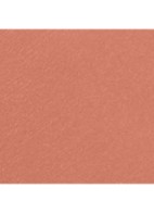 STRALENDE FLUWEELACHTIGE LIPPENSTIFT - 60 INTEMPORELLE