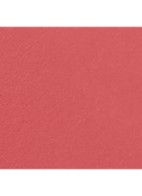 STRALENDE FLUWEELACHTIGE LIPPENSTIFT - 63 ESSENTIELLE 