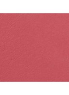 STRALENDE FLUWEELACHTIGE LIPPENSTIFT - 64 ÉTERNELLE 