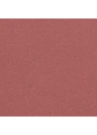 STRALENDE FLUWEELACHTIGE LIPPENSTIFT - 77 AFFRANCHIE 