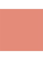 Cheek To Chic blush - Ecstasy