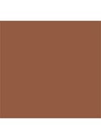 Cheek To Chic blush - The Climax