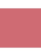Collagen Lip Bath Lip Plumping Treatment For Fuller Looking Lips - volume lipgloss - Rosy Glow