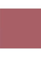 Lip Cheat - lipliner - HOLLYWOOD HONEY