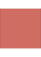 Lip Cheat - lipliner - PINK VENUS