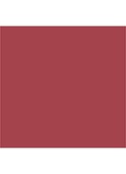 Lip Cheat - lipliner - SAVAGE ROSE