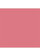 Lip Lustre - lipgloss - Hall of Fame
