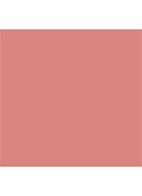Lip Lustre - lipgloss - Portobello Girl