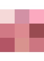 Palette Of Beautifying Eye Trends - oogschaduwpalette - Pink Love
