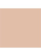 Almost Powder MakeUp SPF 15 - compact foundation - Neutral Fair