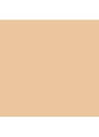 Anti Blemish Solution Concealer - No. 01