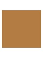 Beyond Perfecting Foundation + Concealer - Toasted