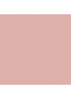 Blushing Blush™ Powder Blush - Bashful Blush