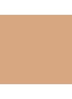 Even Better Glow Light Reflecting Makeup SPF 15 - foundation - CN 40 Cream Chamois