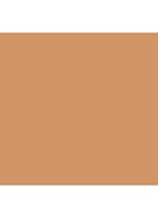 Even Better Glow Light Reflecting Makeup SPF 15 - foundation - WN 30 Biscuit