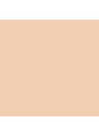 Stay Matte Sheer Pressed Powder - poeder - Invis Matte
