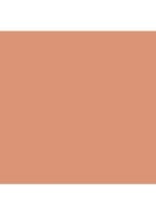 True Bronze Pressed Powder - bronzer - 02 Sunkissed