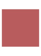 Addict Lip Maximizer - Vollermakende Lipgloss - 038 Rose Nude