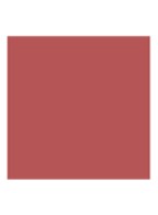 Dior Addict Lipstick Refill - navulling - 558 - Bois de Rose