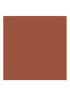 Dior Addict Lipstick Refill - navulling - 717 - Patchwork