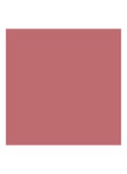 Dior Addict Lipstick Refill - navulling - 730 Star