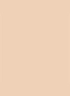 Dior Backstage Face & Body Foundation - 2,5N Neutral