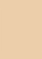 Dior Backstage Face & Body Foundation - 2,5W Warm
