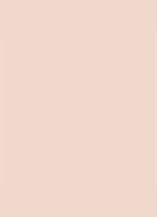 Dior Backstage Face & Body Foundation - 2 Cool Rosy