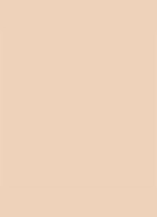 Dior Backstage Face & Body Foundation - 2N Neutral