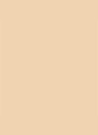 Dior Backstage Face & Body Foundation - 2WO Warm Olive