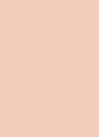 Dior Backstage Face & Body Foundation - 3CR Cool Rosy