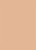 Dior Backstage Face & Body Foundation - 4,5N Neutral