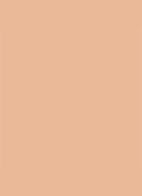 Dior Backstage Face & Body Foundation - 4N Neutral