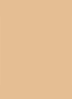 Dior Backstage Face & Body Foundation - 4WO Warm Olive